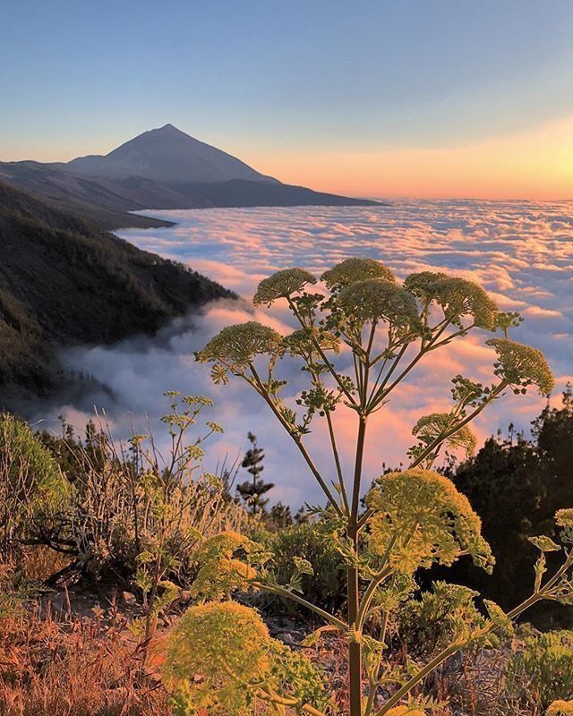 The Best Places for a Proposal in Tenerife: Mount Teide — A Proposal Above the Clouds